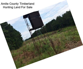 Amite County Timberland Hunting Land For Sale