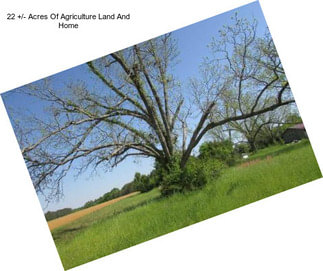 22 +/- Acres Of Agriculture Land And Home
