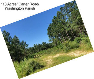 118 Acres/ Carter Road/ Washington Parish