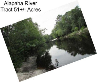 Alapaha River Tract 51+/- Acres