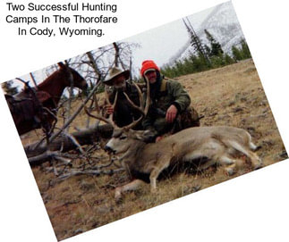 Two Successful Hunting Camps In The Thorofare In Cody, Wyoming.