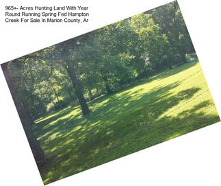 965+- Acres Hunting Land With Year Round Running Spring Fed Hampton Creek For Sale In Marion County, Ar