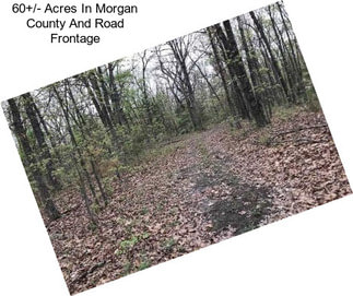 60+/- Acres In Morgan County And Road Frontage