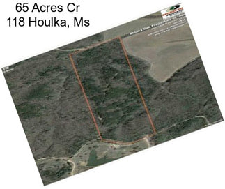 65 Acres Cr 118 Houlka, Ms