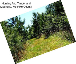 Hunting And Timberland Magnolia, Ms Pike County