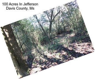 100 Acres In Jefferson Davis County, Ms