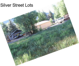 Silver Street Lots