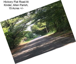 Hickory Flat Road At Kinder, Allen Parish, 15 Acres +/-