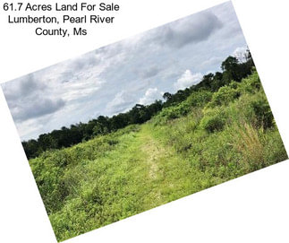 61.7 Acres Land For Sale Lumberton, Pearl River County, Ms