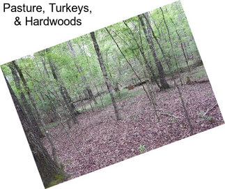 Pasture, Turkeys, & Hardwoods