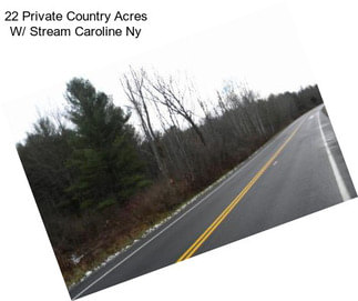 22 Private Country Acres W/ Stream Caroline Ny