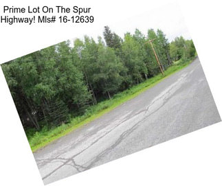 Prime Lot On The Spur Highway! Mls# 16-12639