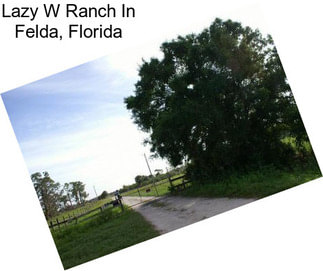 Lazy W Ranch In Felda, Florida