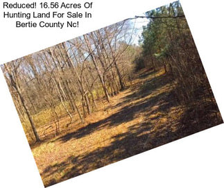 Reduced! 16.56 Acres Of Hunting Land For Sale In Bertie County Nc!