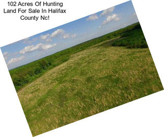 102 Acres Of Hunting Land For Sale In Halifax County Nc!