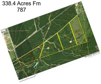 338.4 Acres Fm 787