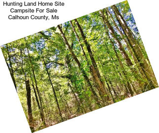 Hunting Land Home Site Campsite For Sale Calhoun County, Ms