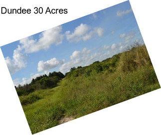 Dundee 30 Acres
