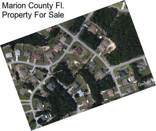 Marion County Fl. Property For Sale