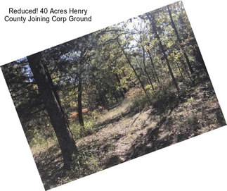 Reduced! 40 Acres Henry County Joining Corp Ground
