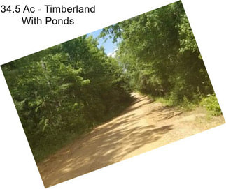 34.5 Ac - Timberland With Ponds