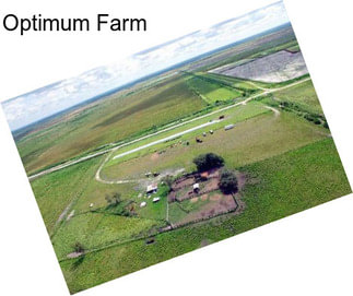 Optimum Farm