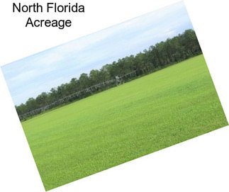 North Florida Acreage