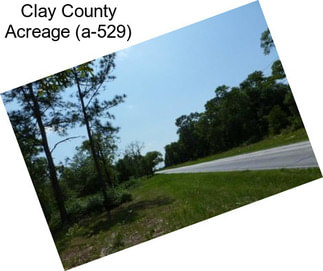 Clay County Acreage (a-529)
