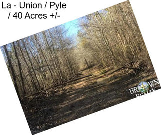 La - Union / Pyle / 40 Acres +/-