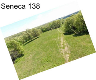 Seneca 138