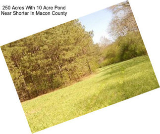 250 Acres With 10 Acre Pond Near Shorter In Macon County