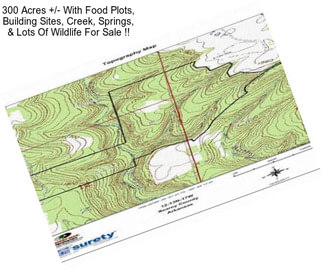 300 Acres +/- With Food Plots, Building Sites, Creek, Springs, & Lots Of Wildlife For Sale !!