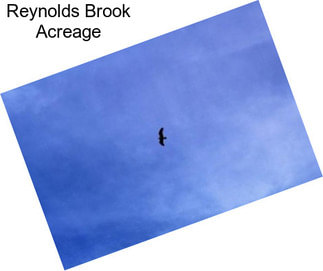 Reynolds Brook Acreage