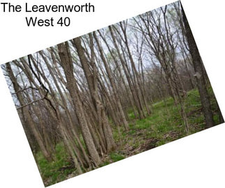 The Leavenworth West 40