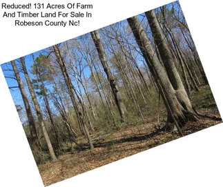 Reduced! 131 Acres Of Farm And Timber Land For Sale In Robeson County Nc!