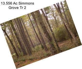 13.556 Ac Simmons Grove Tr 2