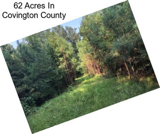 62 Acres In Covington County