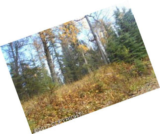 Alaskan Residential Or Recreational Lot With Large Cottonwood, Birch And Spruce Trees.
Mls 17-17033