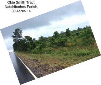 Obie Smith Tract, Natchitoches Parish, 39 Acres +/-
