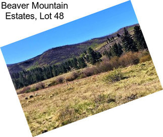 Beaver Mountain Estates, Lot 48