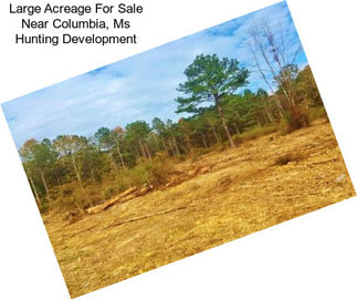 Large Acreage For Sale Near Columbia, Ms Hunting Development