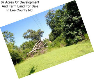 87 Acres Of Development And Farm Land For Sale In Lee County Nc!