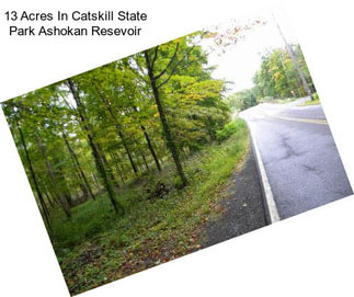 13 Acres In Catskill State Park Ashokan Resevoir
