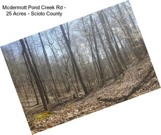 Mcdermott Pond Creek Rd - 25 Acres - Scioto County