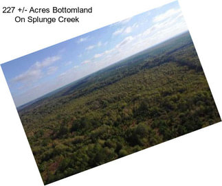 227 +/- Acres Bottomland On Splunge Creek