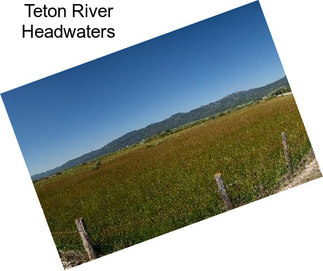 Teton River Headwaters