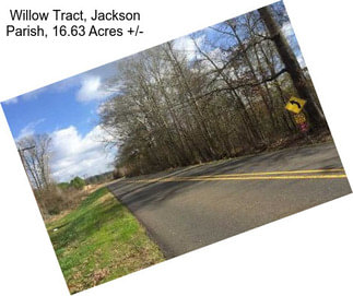 Willow Tract, Jackson Parish, 16.63 Acres +/-