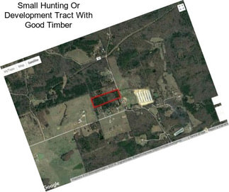 Small Hunting Or Development Tract With Good Timber