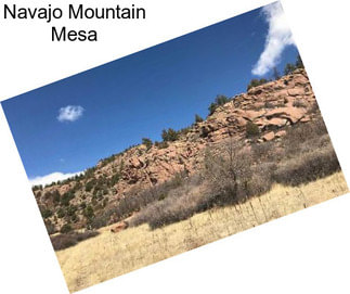 Navajo Mountain Mesa