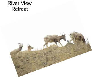River View Retreat